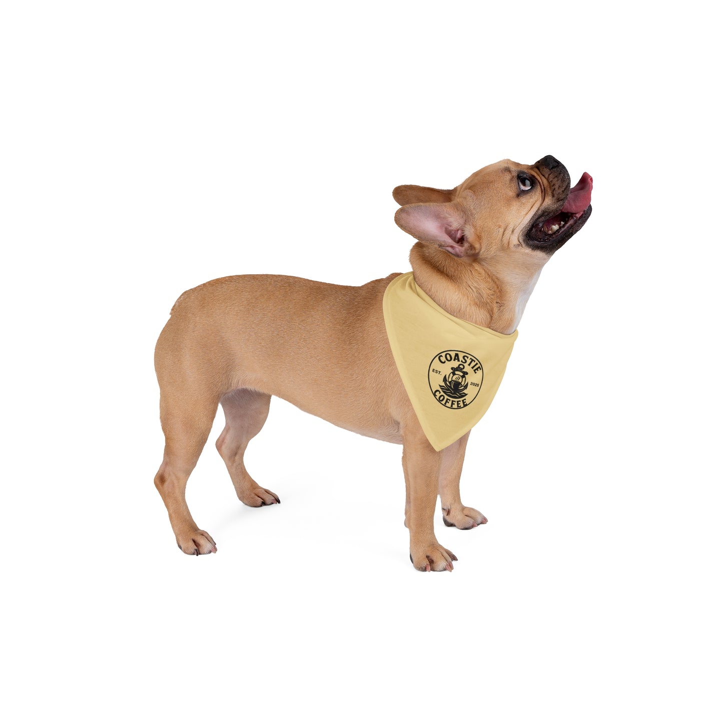 Coastie Coffee Logo Pet Bandana